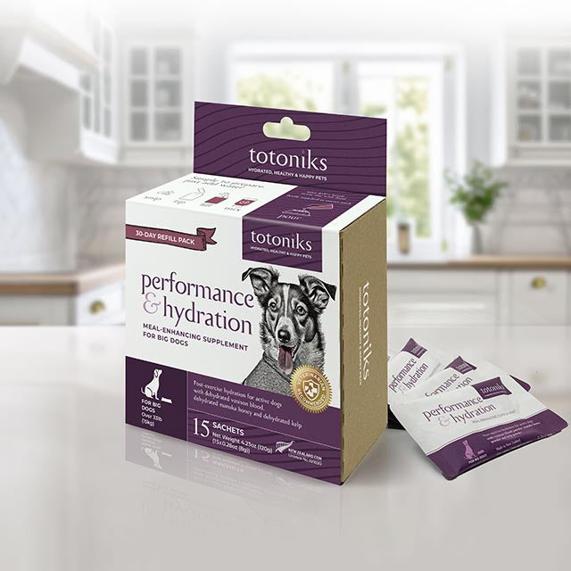 Performance & Hydration Refill Pack – for big dogs over 33lb (15kg)