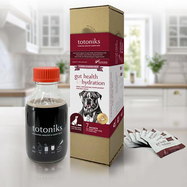 Gut Health & Hydration Starter Pack – for big dogs over 33lb (15kg)