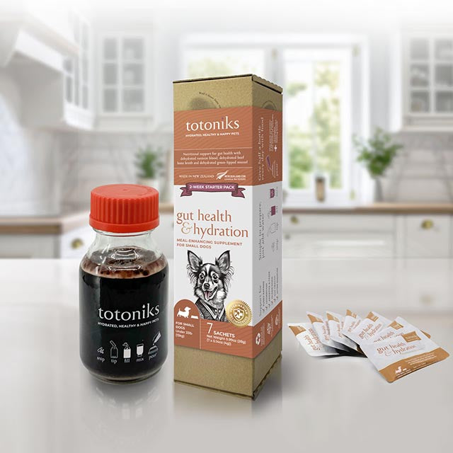 Gut Health & Hydration Starter Pack – for small dogs under 33lb (15kg)