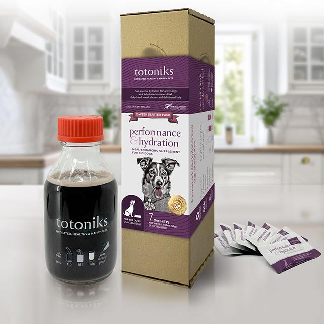 Performance & Hydration Starter Pack – for big dogs over 33lb (15kg)