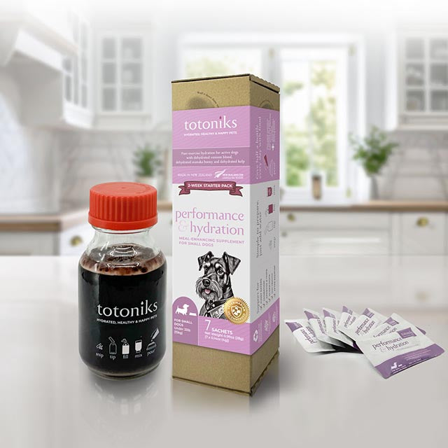 Performance & Hydration Starter Pack – for small dogs under 33lb (15kg)